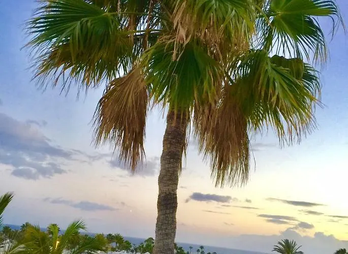 Aguazul - A Pie De Piscina Y Vistas Al Mar * פוארטו דל כרמן